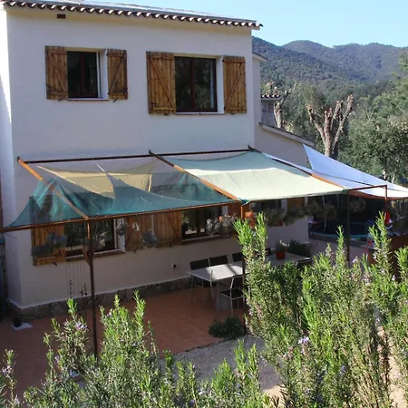 Villa In With Pool Near